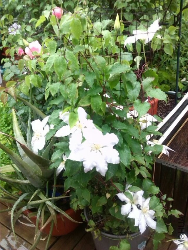 QQͼƬ20140426143841.jpg