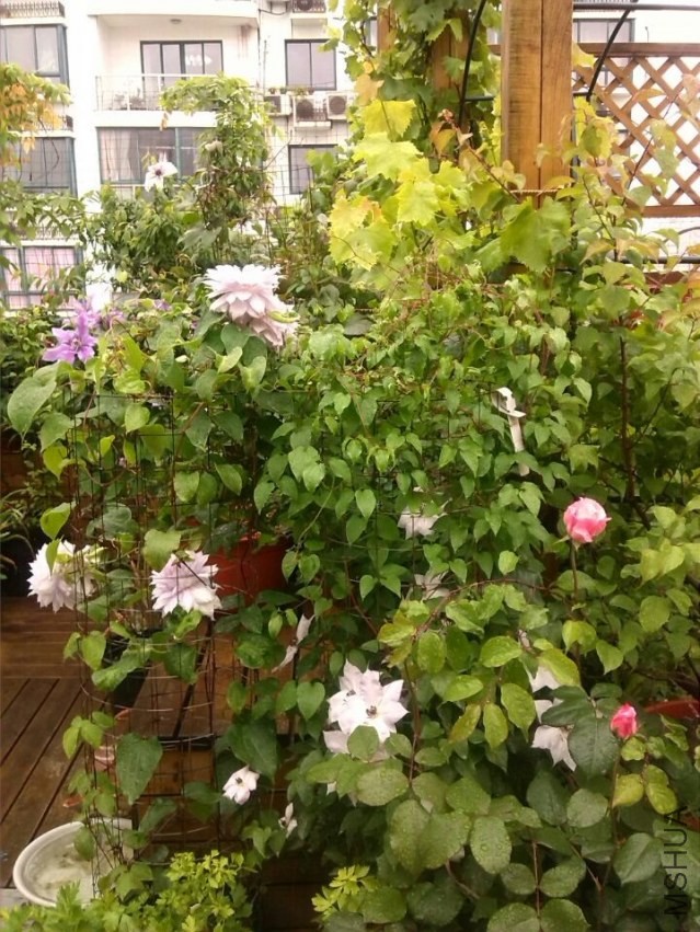 QQͼƬ20140426143901.jpg