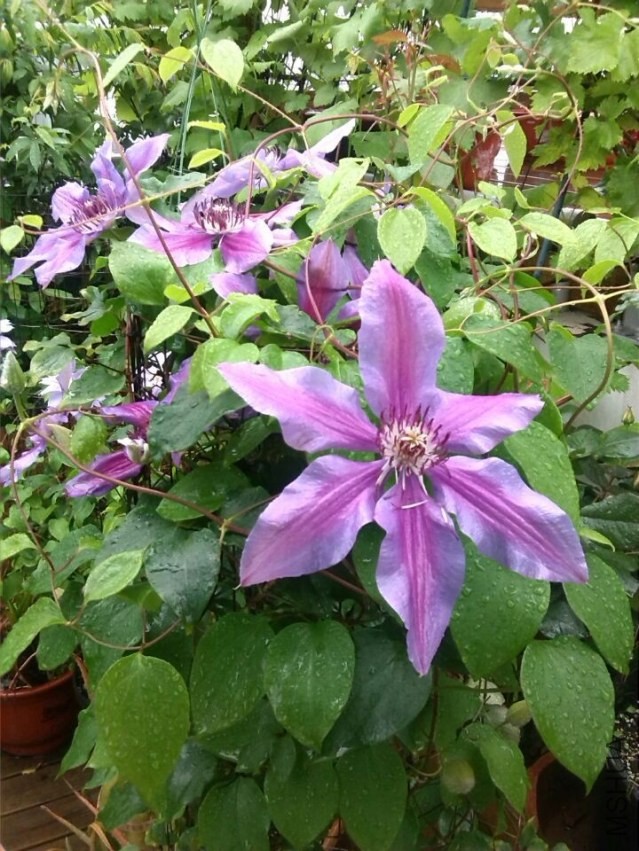 QQͼƬ20140426143915.jpg