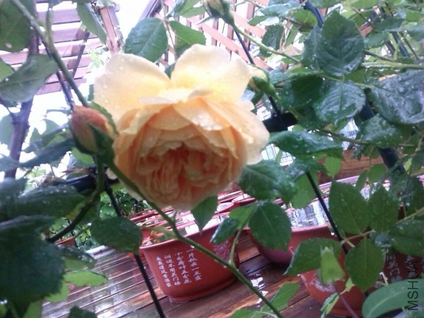 QQͼƬ20140426143947.jpg