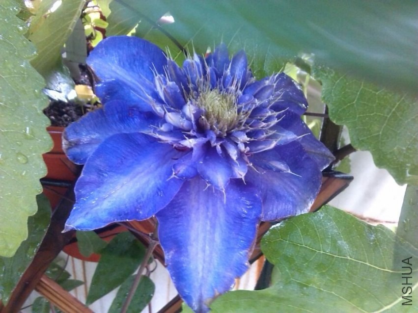 QQͼƬ20140426144001.jpg