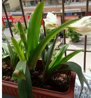QQ��ͼ20140426155133.jpg