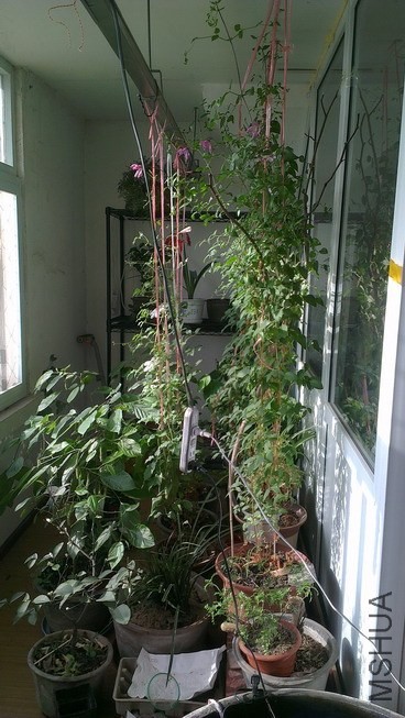 IMAG4234_��С��С.jpg