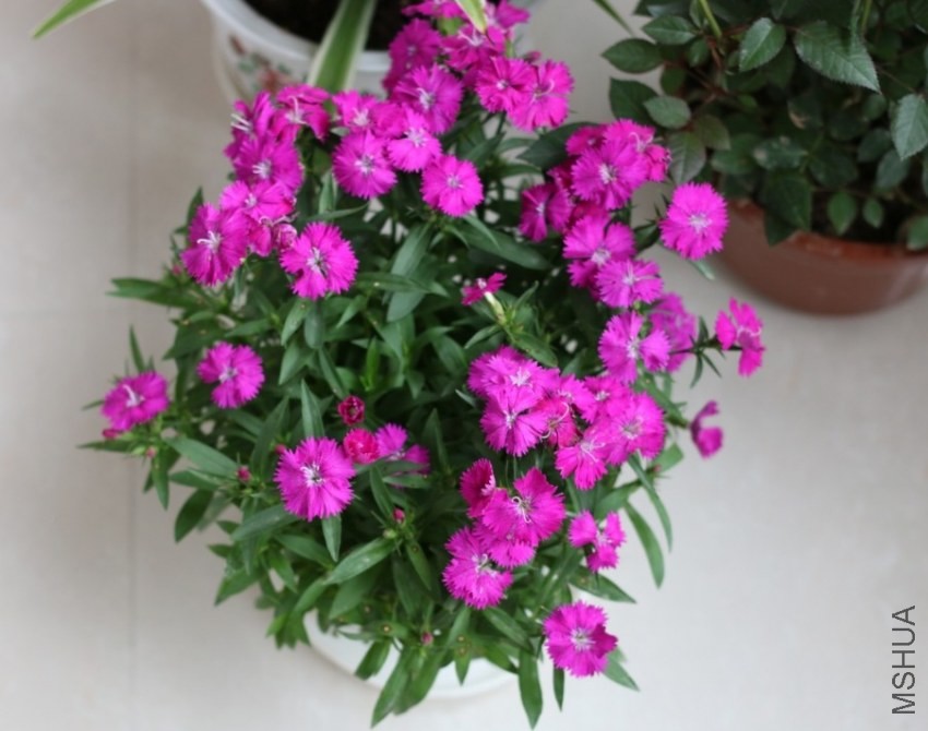 ��������������