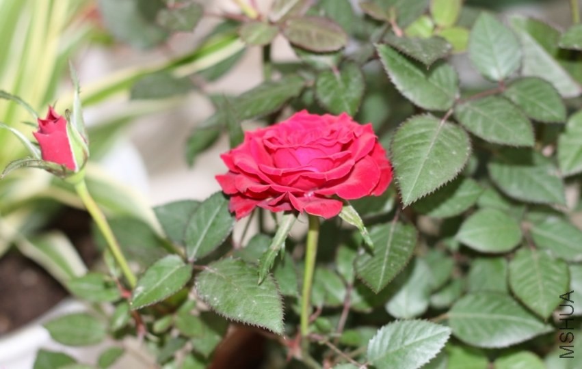 ���Ǵ��͵�