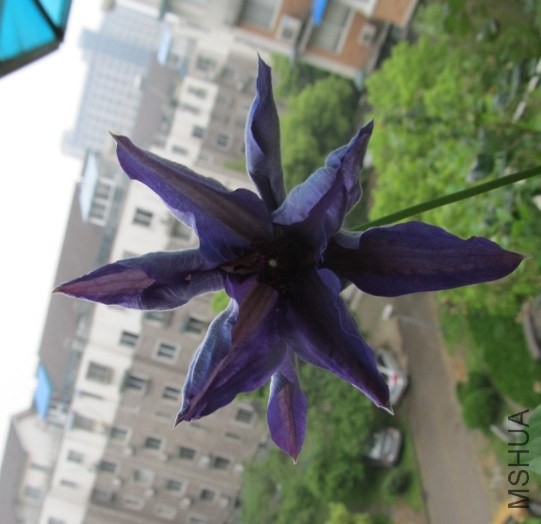 QQͼƬ20140426181602.jpg