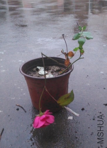 QQ��ͼ20140426191057.jpg