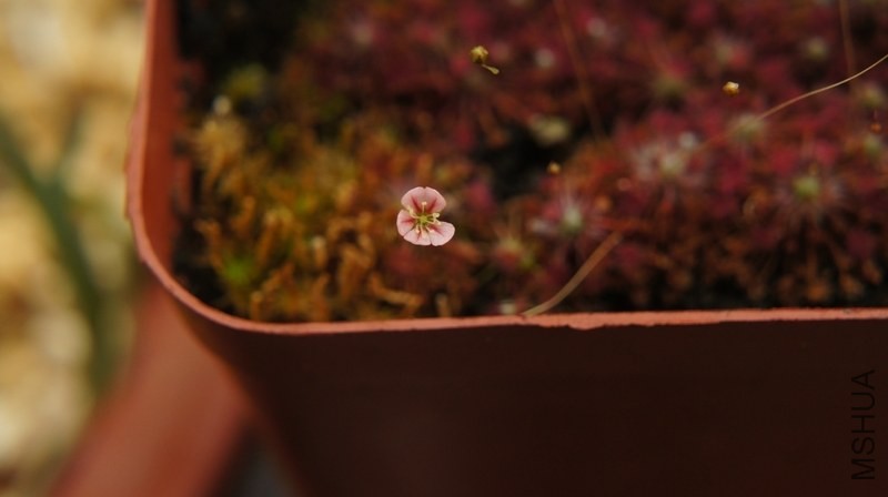 DSC05744.jpg