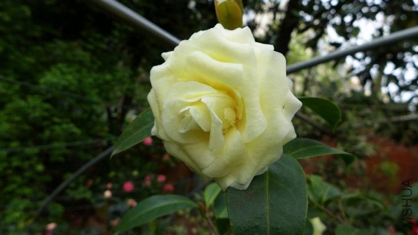 P1450453.jpg