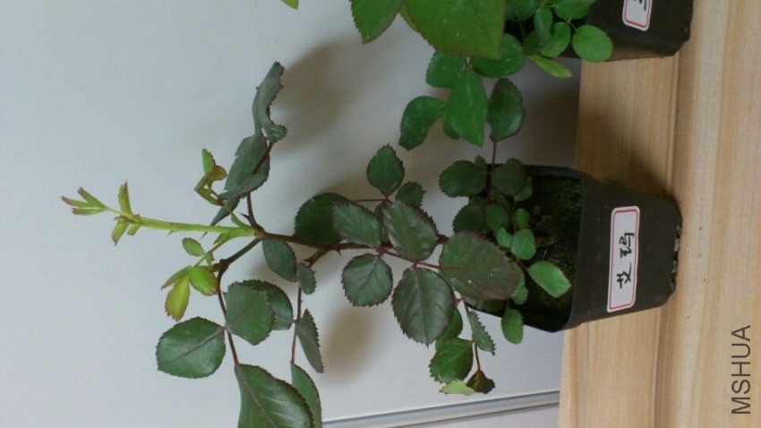 QQͼƬ20140426204454.jpg