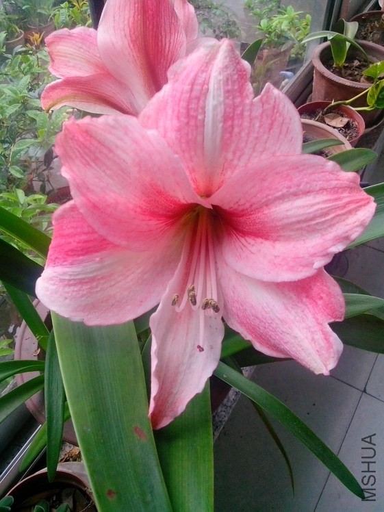 QQͼƬ20140426210603.jpg