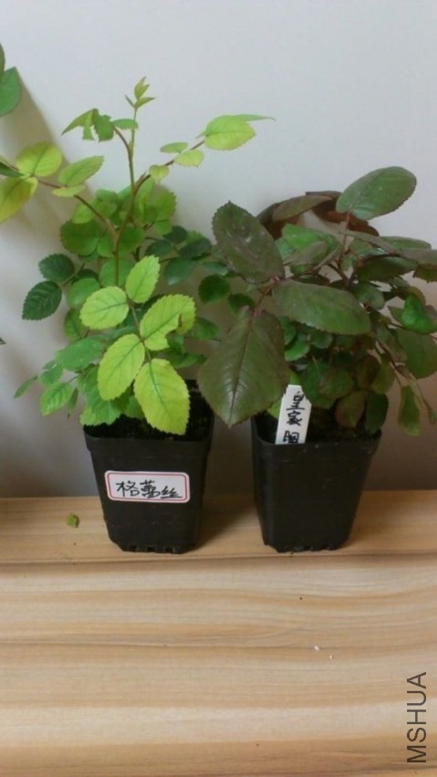 QQͼƬ20140426204423.jpg