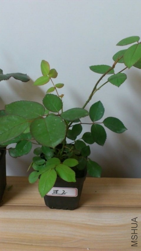 QQͼƬ20140426204446.jpg