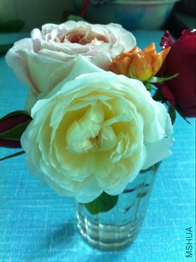 QQͼƬ20140426212524.jpg