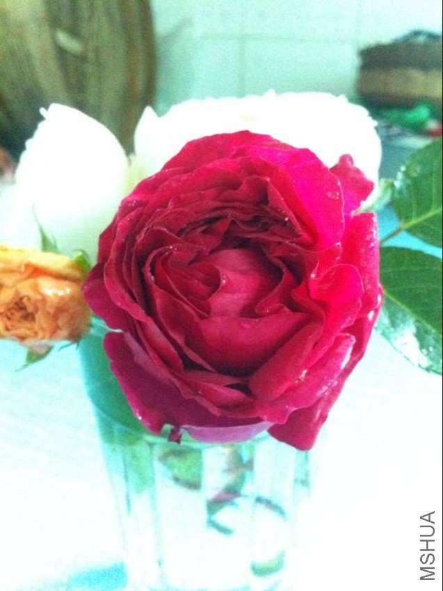 QQͼƬ20140426212537.jpg
