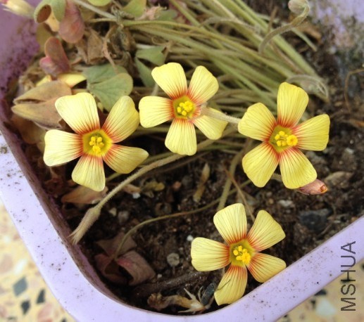 QQͼƬ20140426220345.jpg