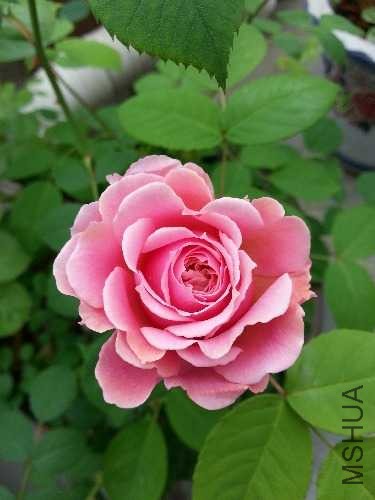 20140426_090934.jpg