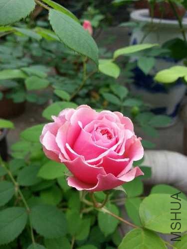 20140426_090237.jpg