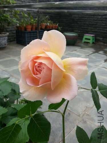 20140426_090625.jpg