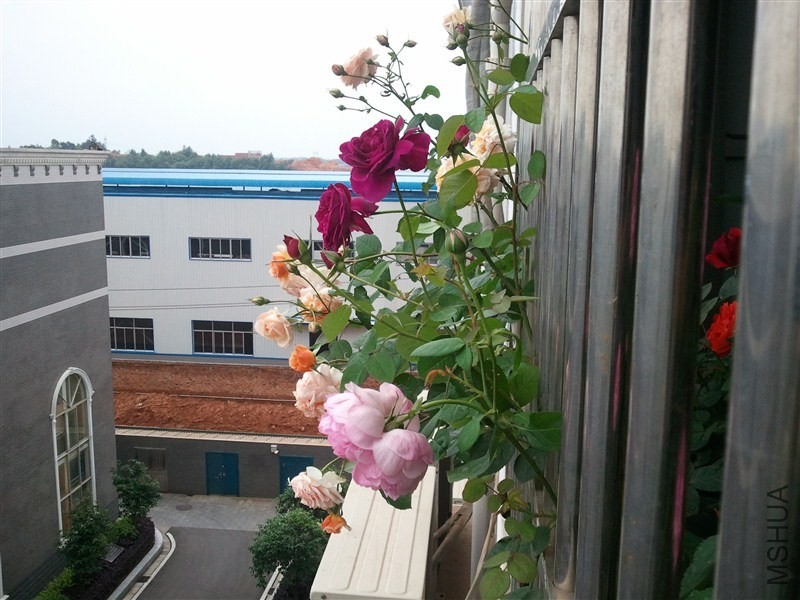 psb (2).jpg