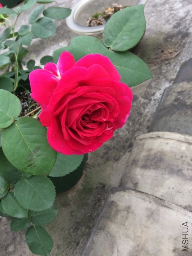 QQͼƬ20140427083740.jpg