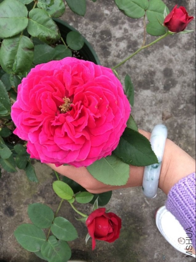 QQͼƬ20140427083804.jpg