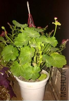 QQ��ͼ20140427111603.JPG