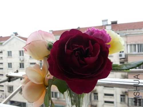 20140426_115847.jpg