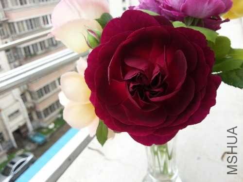 20140426_115925.jpg