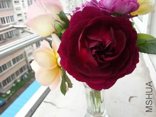 20140426_115913.jpg