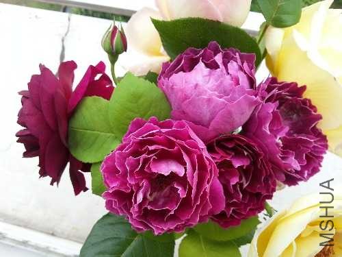 20140426_115908.jpg