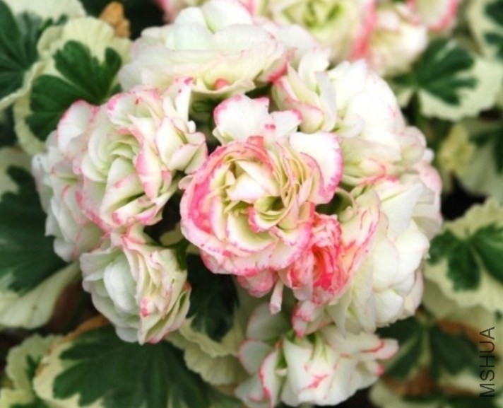 QQ��ͼ20140425214549.jpg