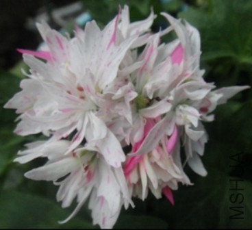 QQ��ͼ20140427122715.jpg