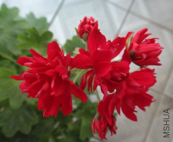 QQ��ͼ20140427122913.jpg