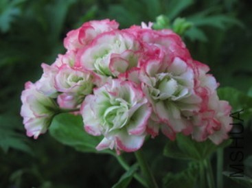 QQ��ͼ20140427122632.jpg