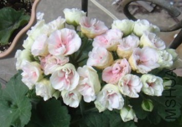 QQ��ͼ20140427123556.jpg