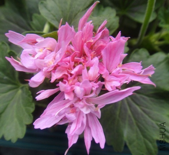 QQ��ͼ20140427123439.jpg