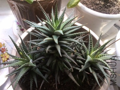 YP20140422121407_�༭.jpg