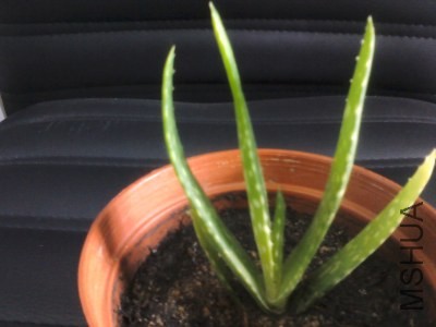 YP20140422165205_�༭.jpg