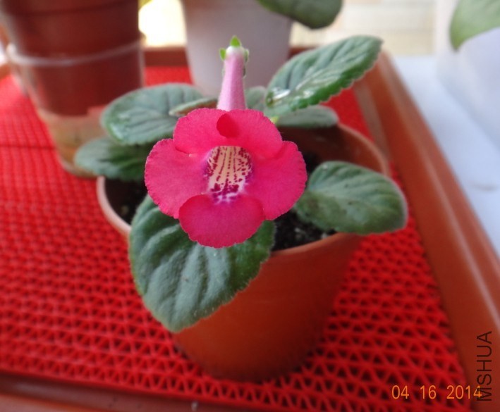QQͼƬ20140416094136.jpg