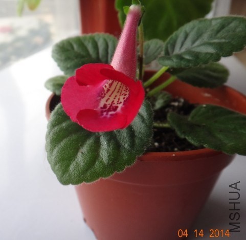 QQͼƬ20140414112833.jpg