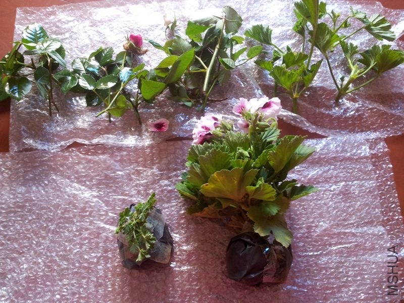 20140427_082742.jpg