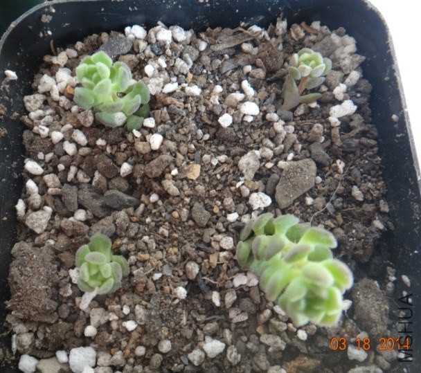 QQͼƬ20140407100558.jpg