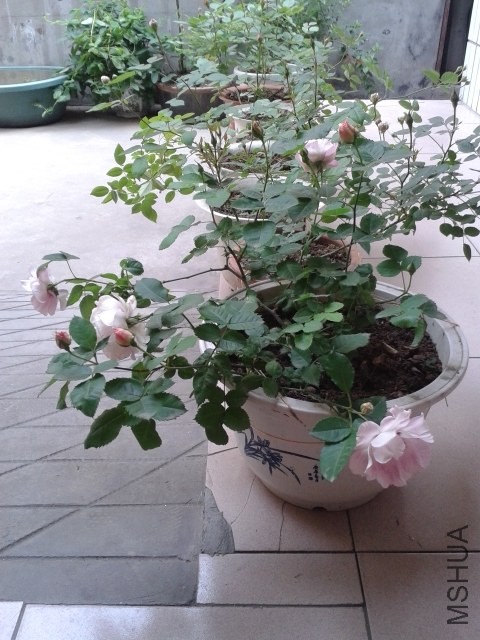 20140427_154717 - ����.jpg