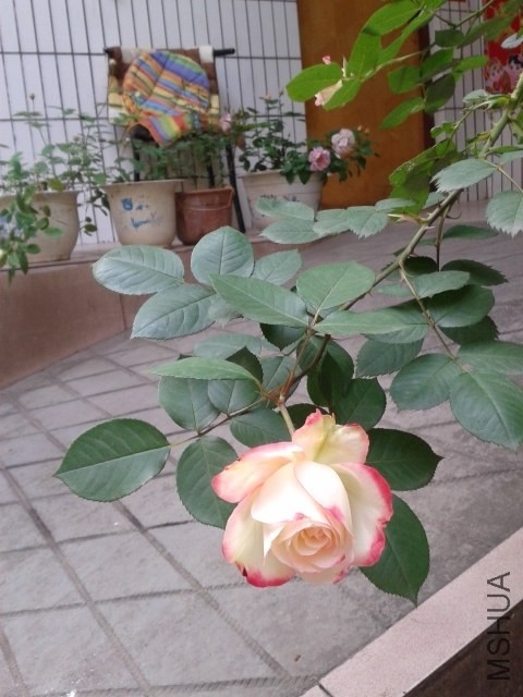 20140427_154805 - ����.jpg