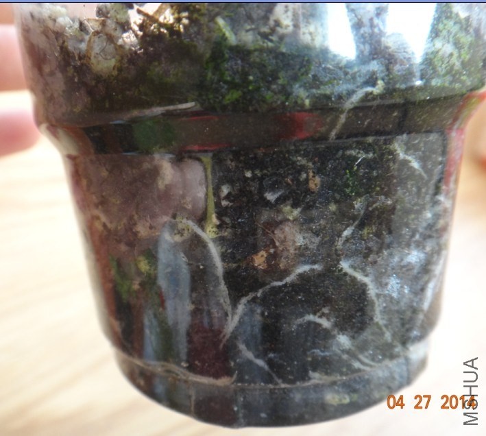 QQͼƬ20140427160242.jpg