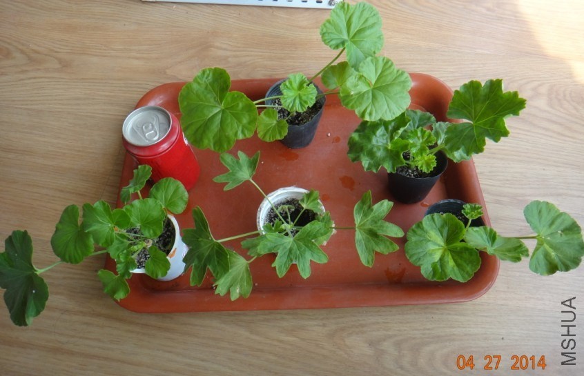 QQͼƬ20140427160143.jpg