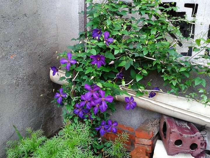 2014-04-27 16.54.28.jpg