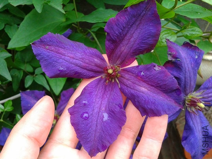 2014-04-27 16.56.02.jpg