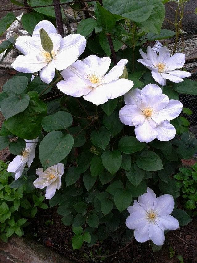 2014-04-27 16.58.43.jpg